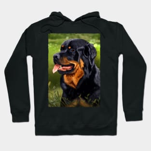 Rottweiler - Black Hoodie